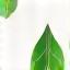 Icon of a leaf representing natural finish.